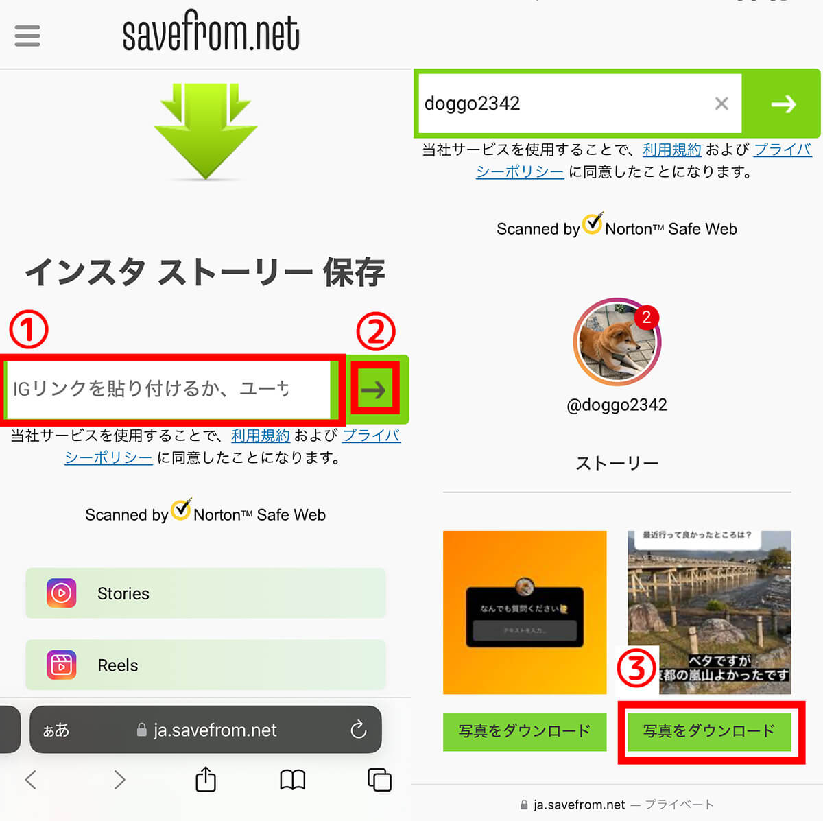 savefrom.net：複数のストーリーを効率よく保存可能1