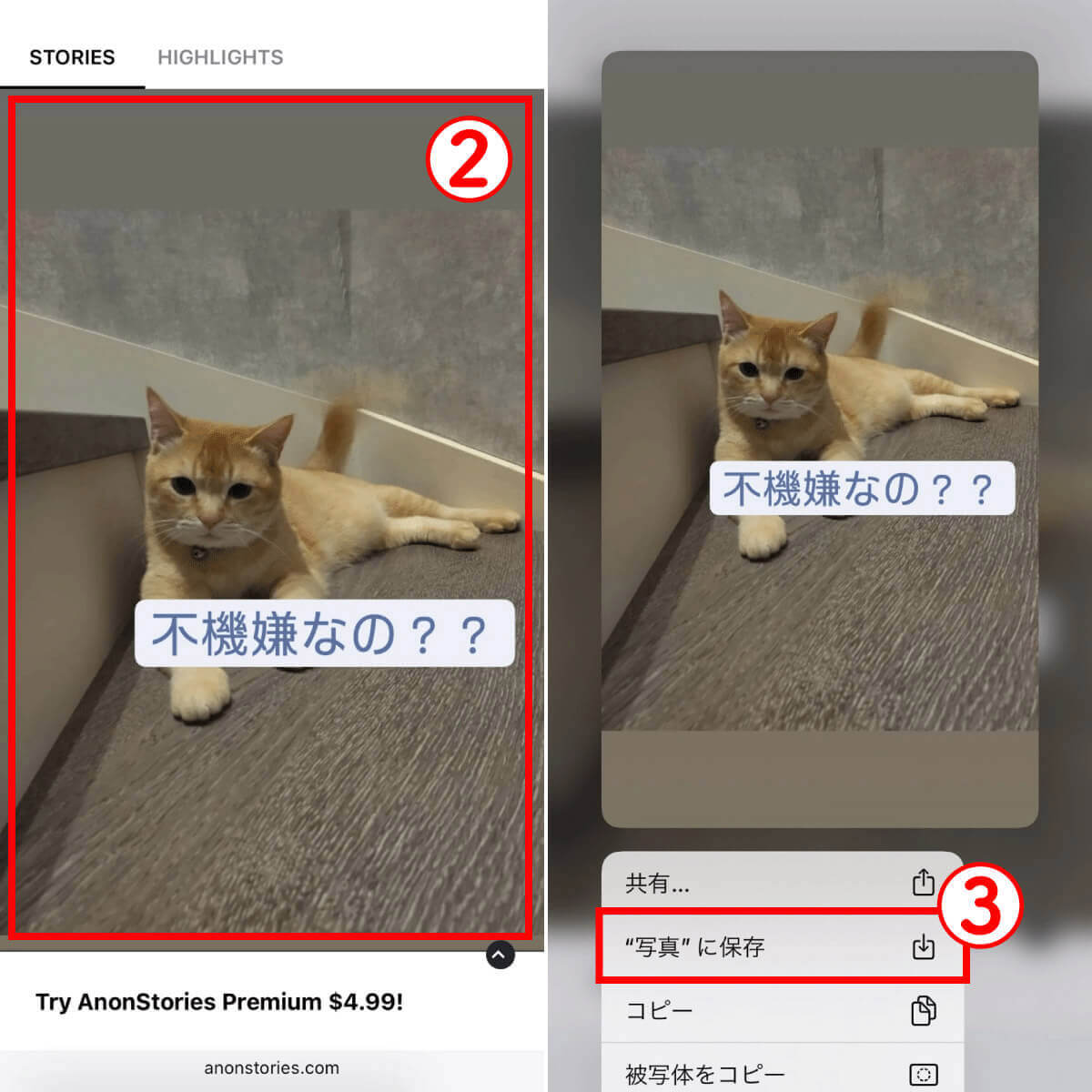 ストーリーの閲覧・保存に対応する外部サイトで保存する2