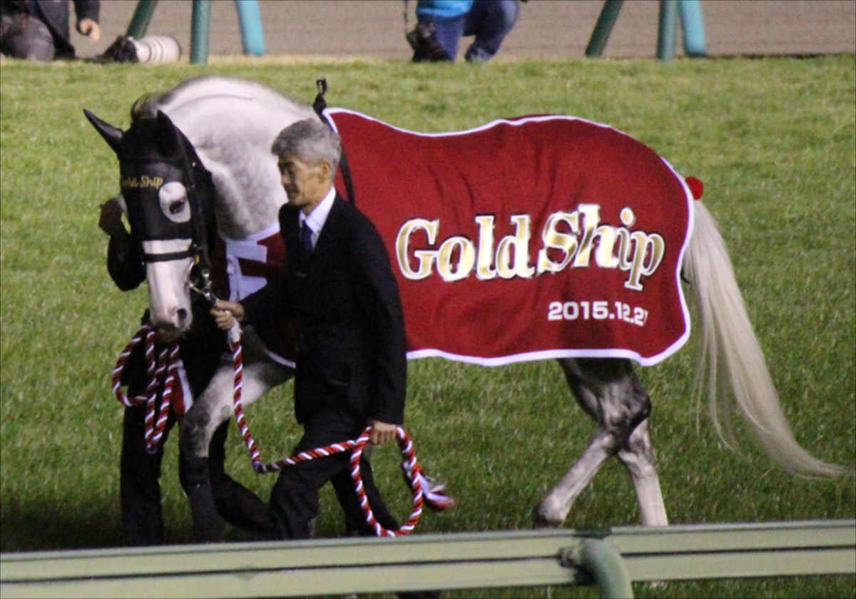 オジュウチョウサン「後継者候補」にG1級快速馬がスタンバイ、あの「ゴルシワープ」から12年…中山GJと皐月賞に期待の画像2
