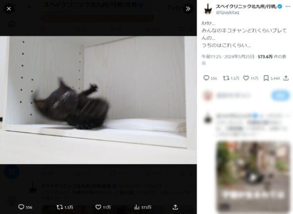 今回の写真にも11万いいね