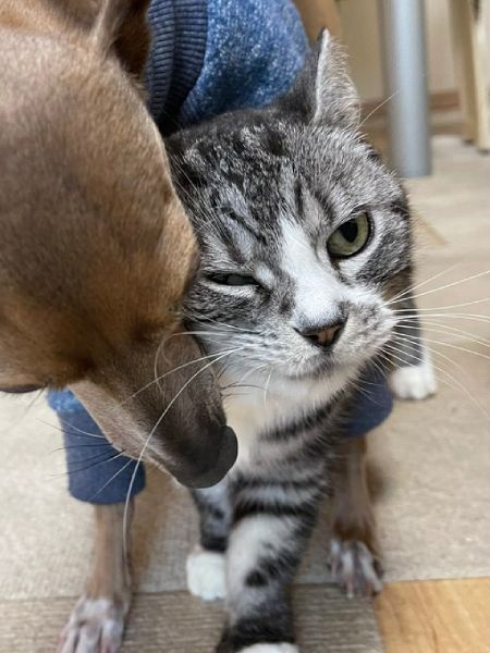 玉さんのことが大好きな新吉ちゃん