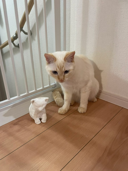 紙粘土で作る等身大の愛猫