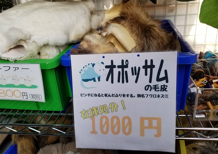 ããã¢ãã¯ãªããããšãçŽ æããªãããµã ã®å®¶æã®ã€ã©ã¹ããã䜿ãããååºã®å€æïŒæäŸïŒäžæµŠééããïŒ