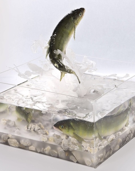 食品サンプルの領域を超えたと紹介された作品「生きのいい川魚」