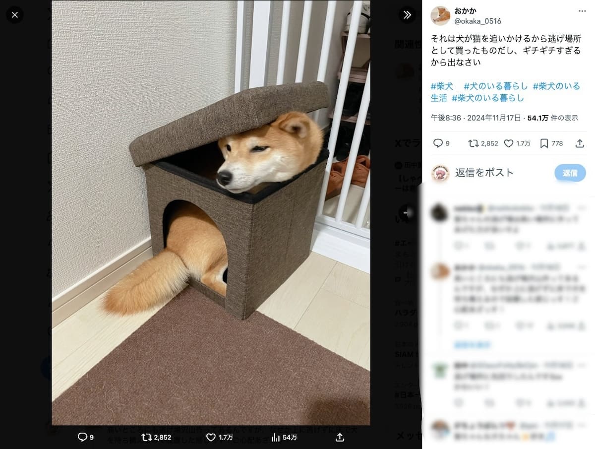 飌ãäž»ããã®ãã¹ã