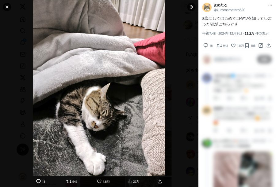 恍惚の表情を浮かべるまめたろくん