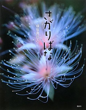 <strong><a href=