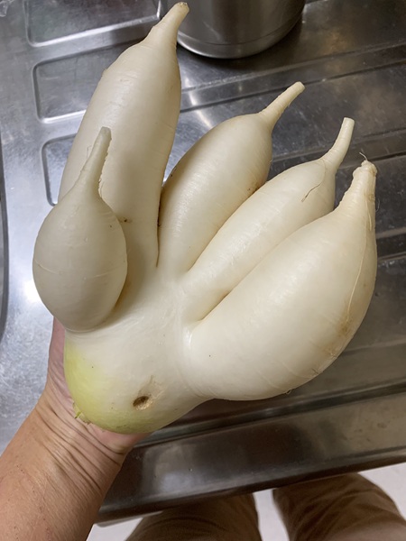 ç»åæäŸïŒããããïŒ@sokonronïŒ
