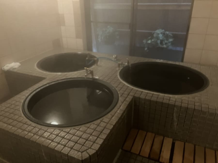深山èåç©ã®äºå³è¡é颚å