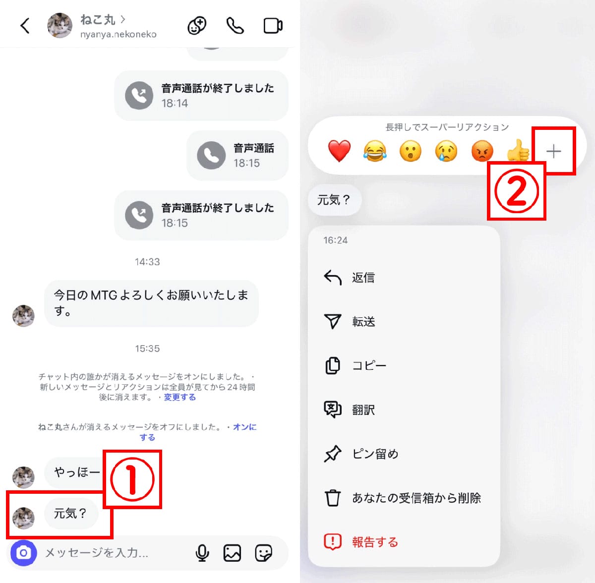 【応用編】インスタのDMのリアクションを「カスタマイズ」して変更するには？1