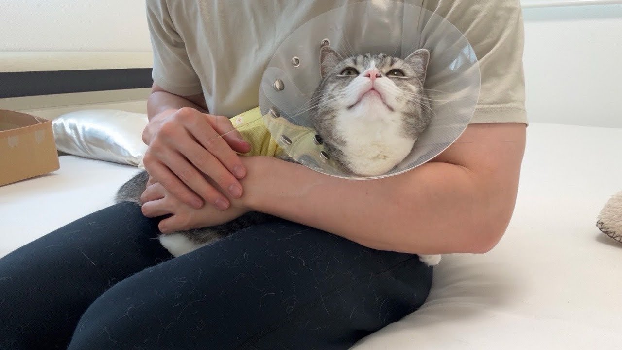 ãã¡ãŸãæ¥èš