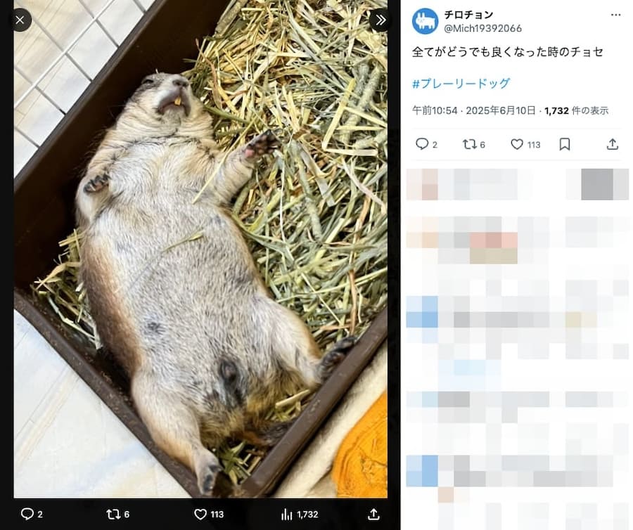 暑すぎたせい？