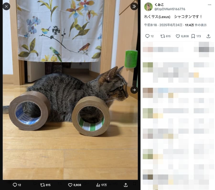 美しいフォルム