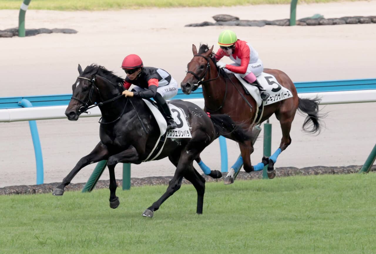 ▲【競馬小倉】１Ｒ　１着３番　アスクエジンバラ＝小倉競馬場