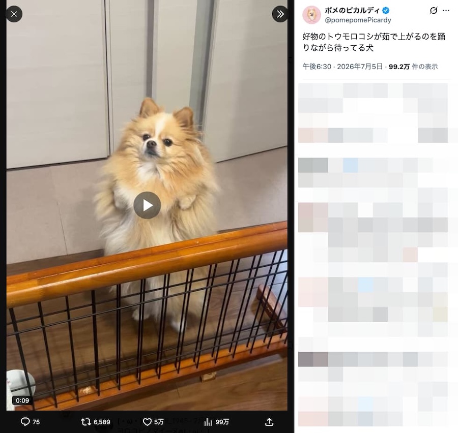 飼い主さんの投稿